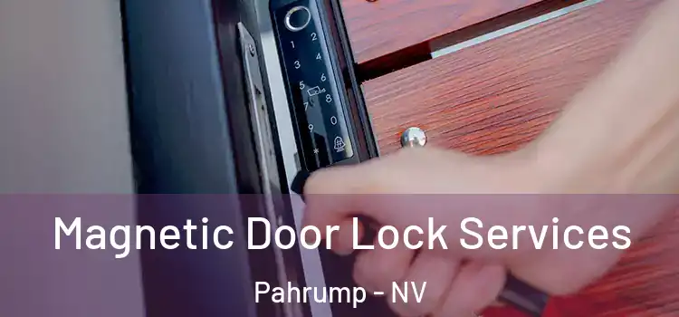Magnetic Door Lock Services Pahrump - NV